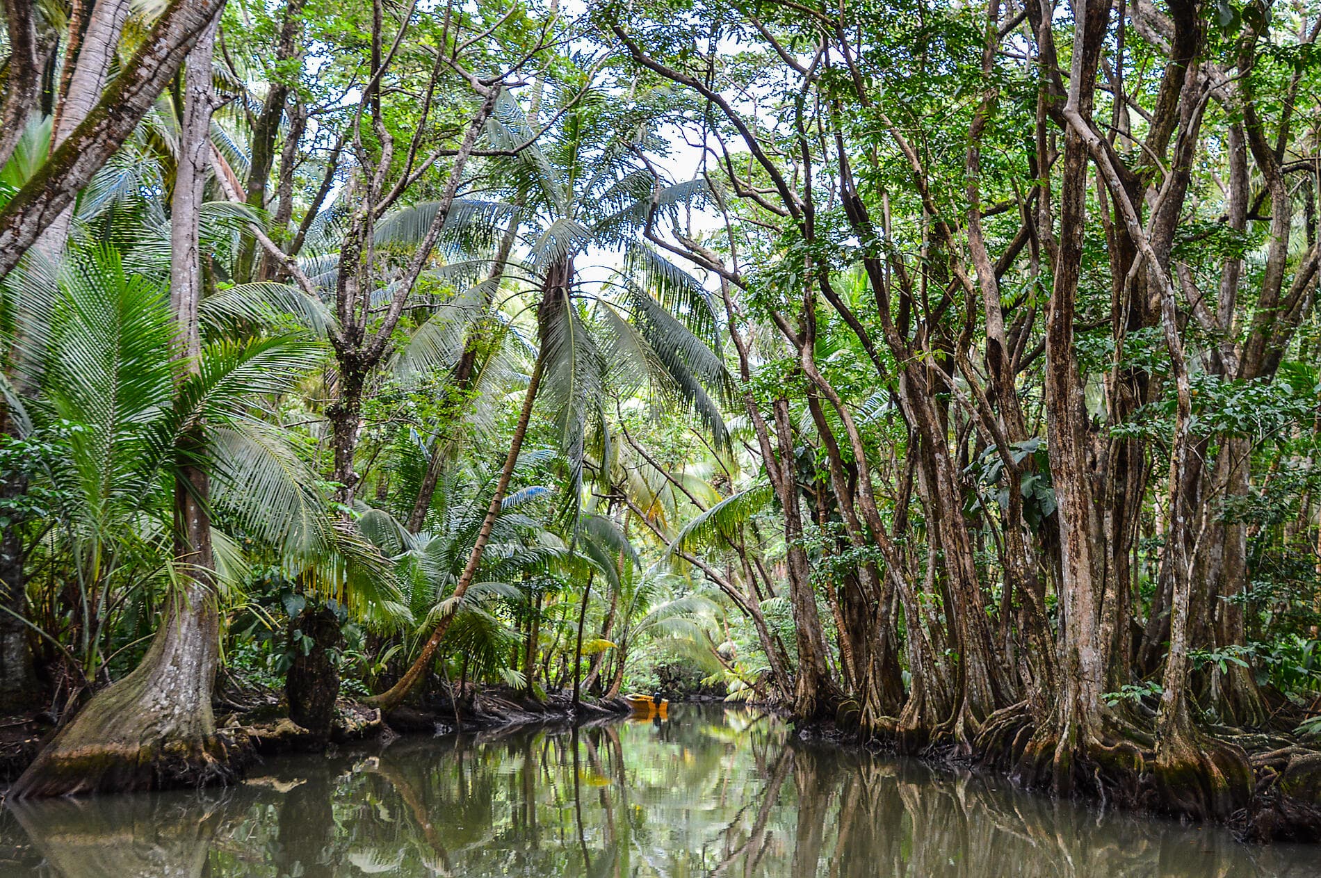 Highlights der Karibik 