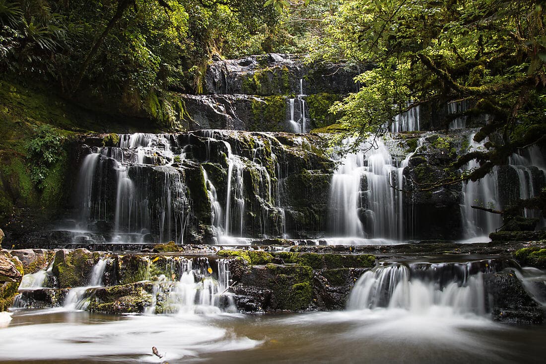 DUNEDIN : NEW ZEALAND'S WILDLIFE CAPITAL (3 NIGHTS)